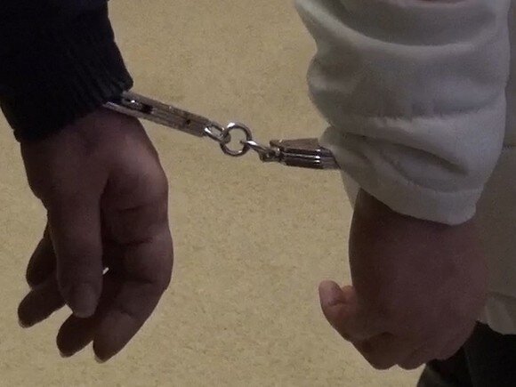    Фото предоставлено пресс-службой ГУ МВД по Московской области