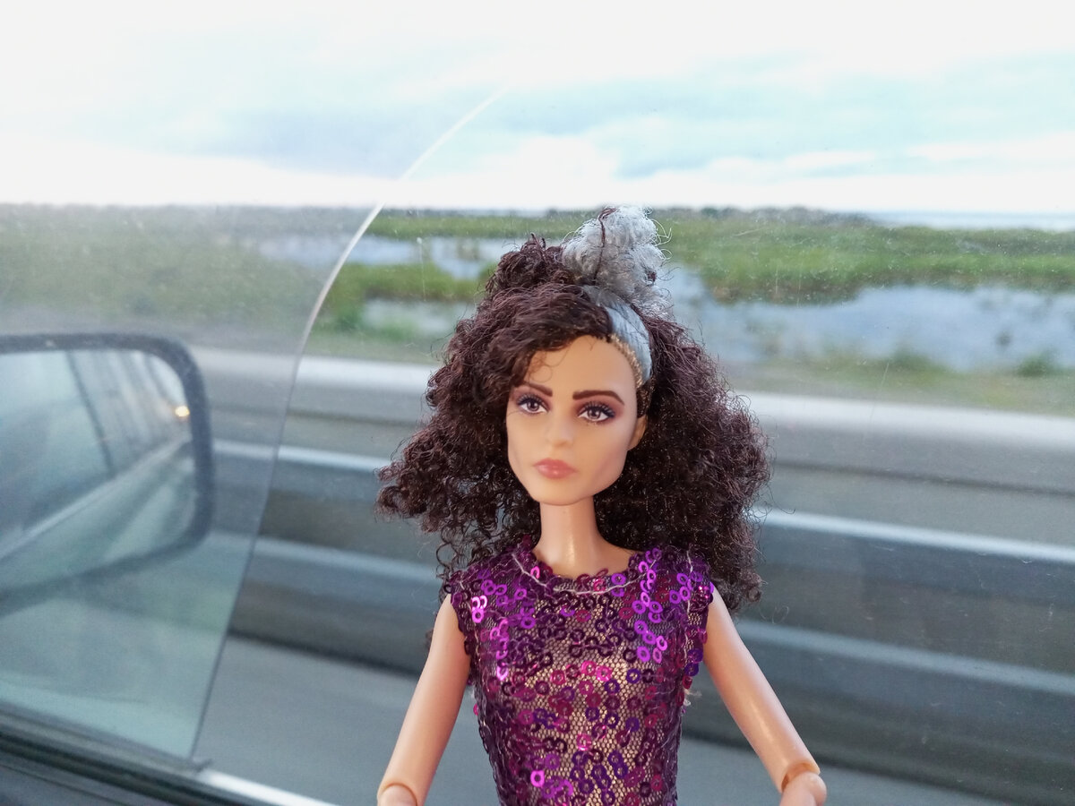 Проезжаем Финский залив. 