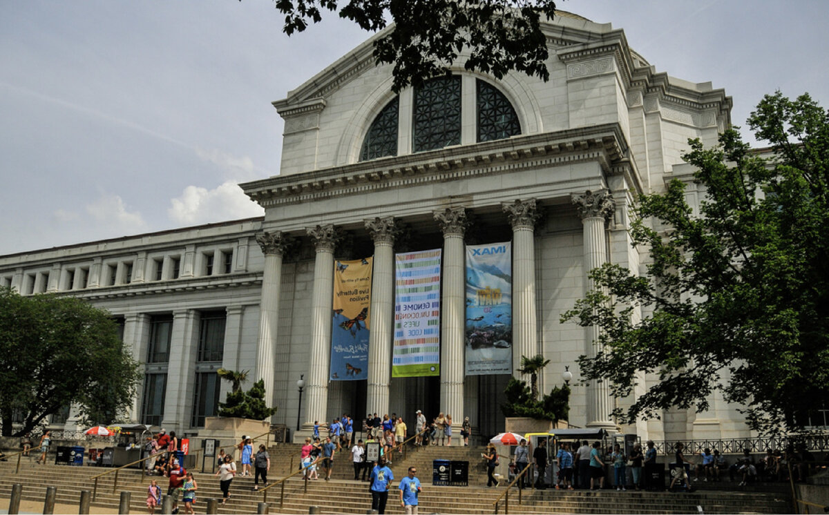 Смитсоновский национальный музей естественной истории, Вашингтон, США.