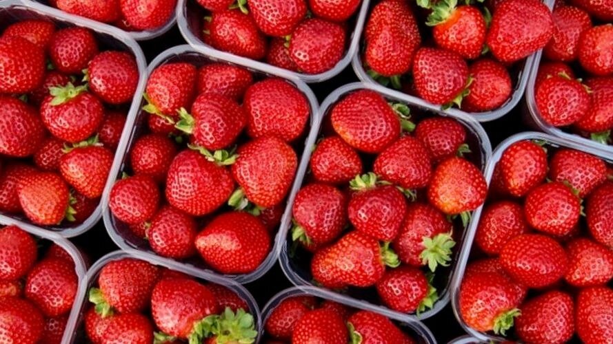 как выбрать клубнику