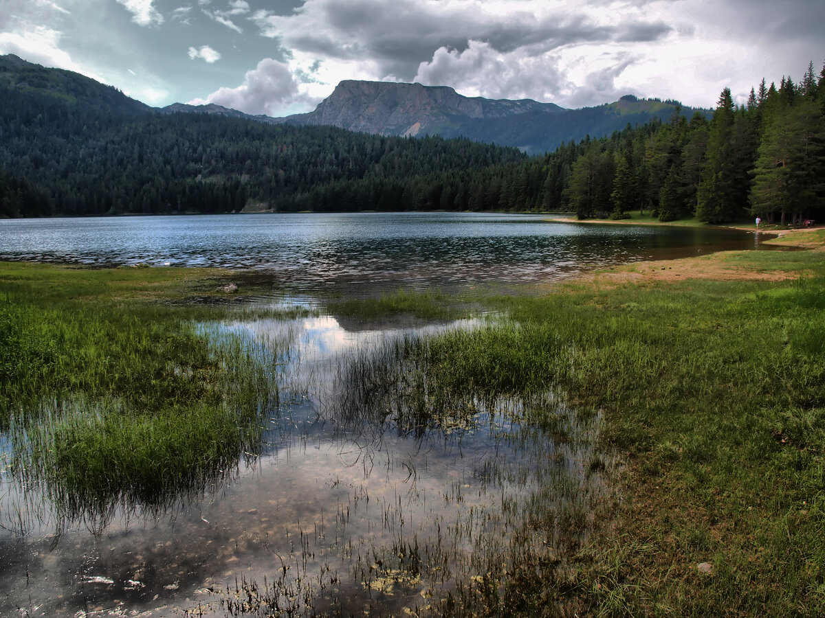 Еще один вид