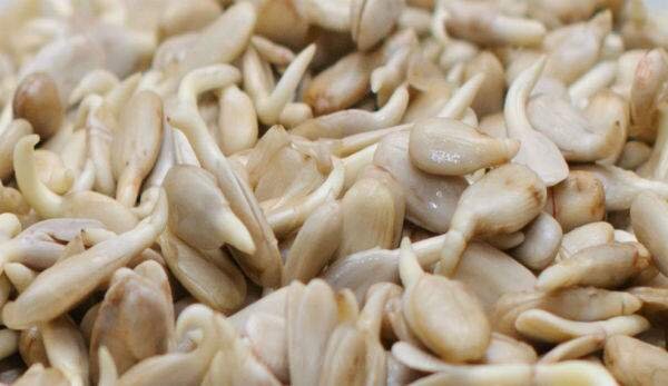 Семена станут отличным дополнением к салатам :)