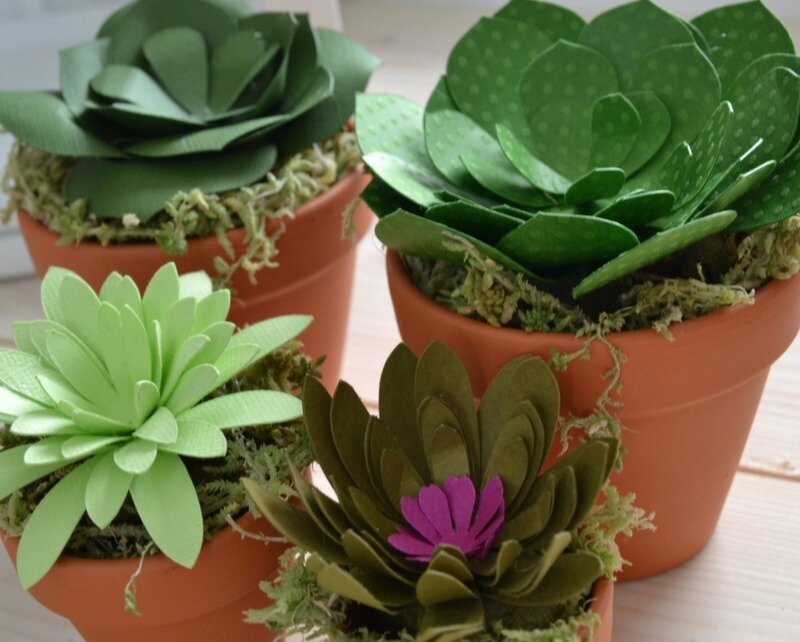 Источник: Картинка взята из общего доступа.