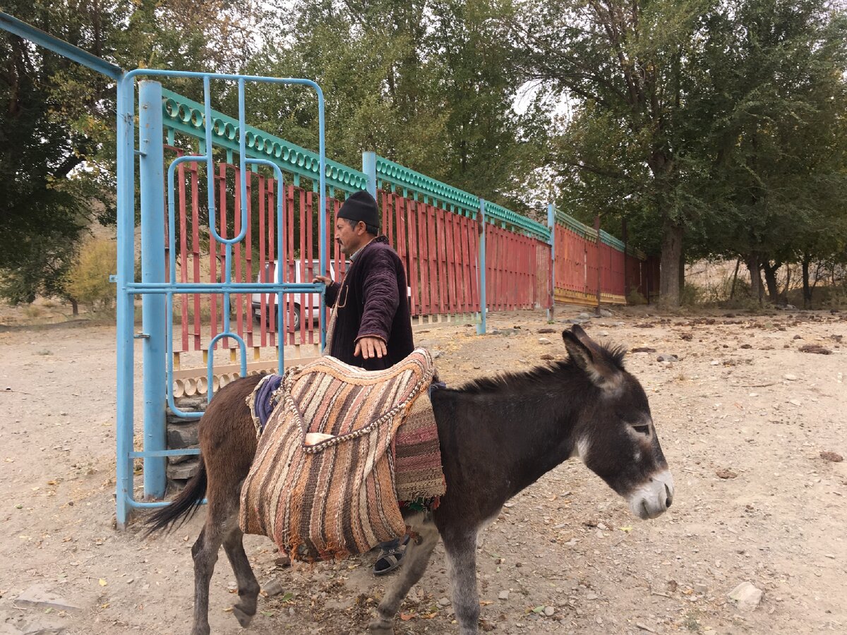 Как в Узбекистане моего брата заставили сбрить бороду. И не только его