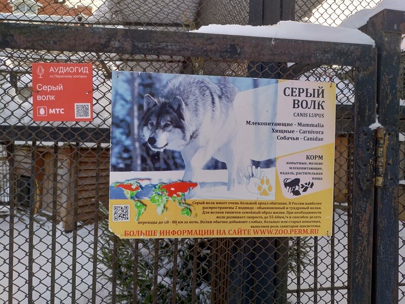 Куда переехал зоопарк пермь. Зоопарк пермь цум. Зоопарк пермь время работы. Зоопарк пермь время работы. Новый зоопарк пермь адрес.