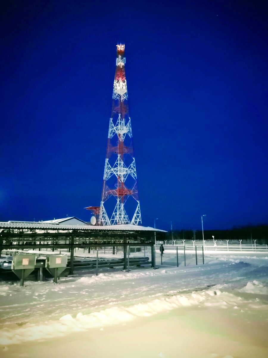 Фото, приукрашенное Google Photos. Но только самую малость