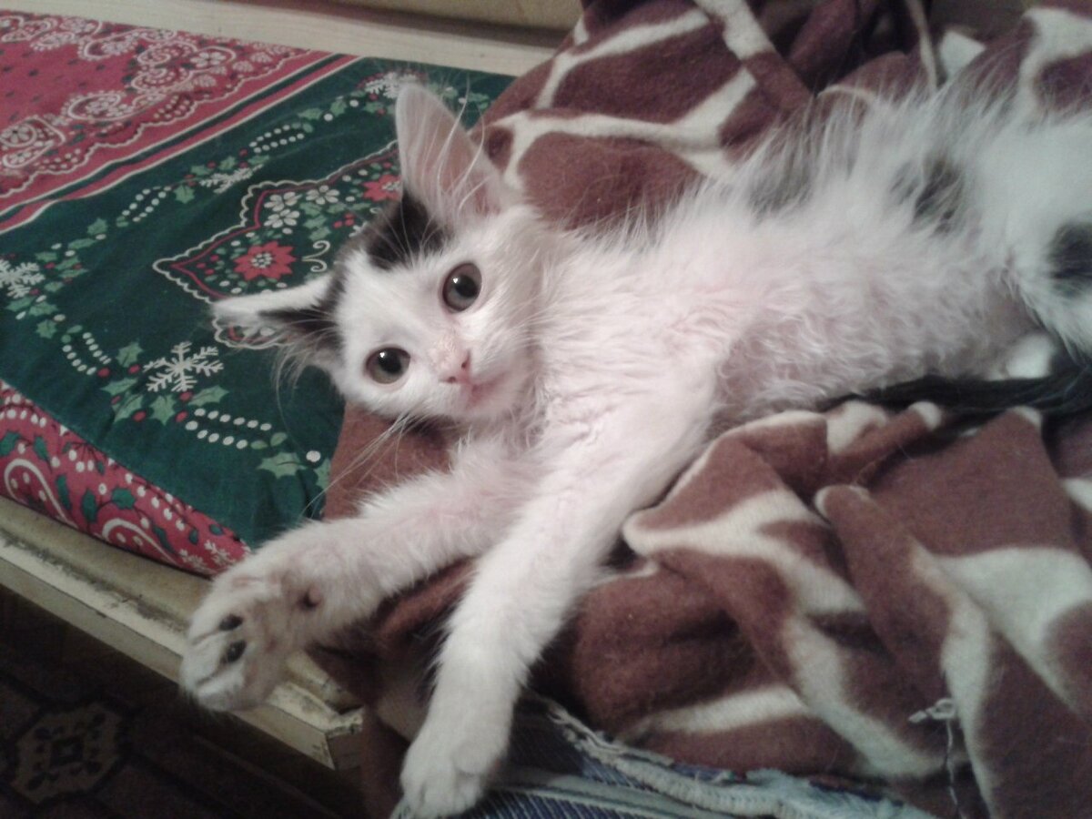 Как же все таки хорошо дома