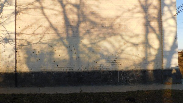   Буйнакский был в руководстве Дагестанского советского конного полка
 