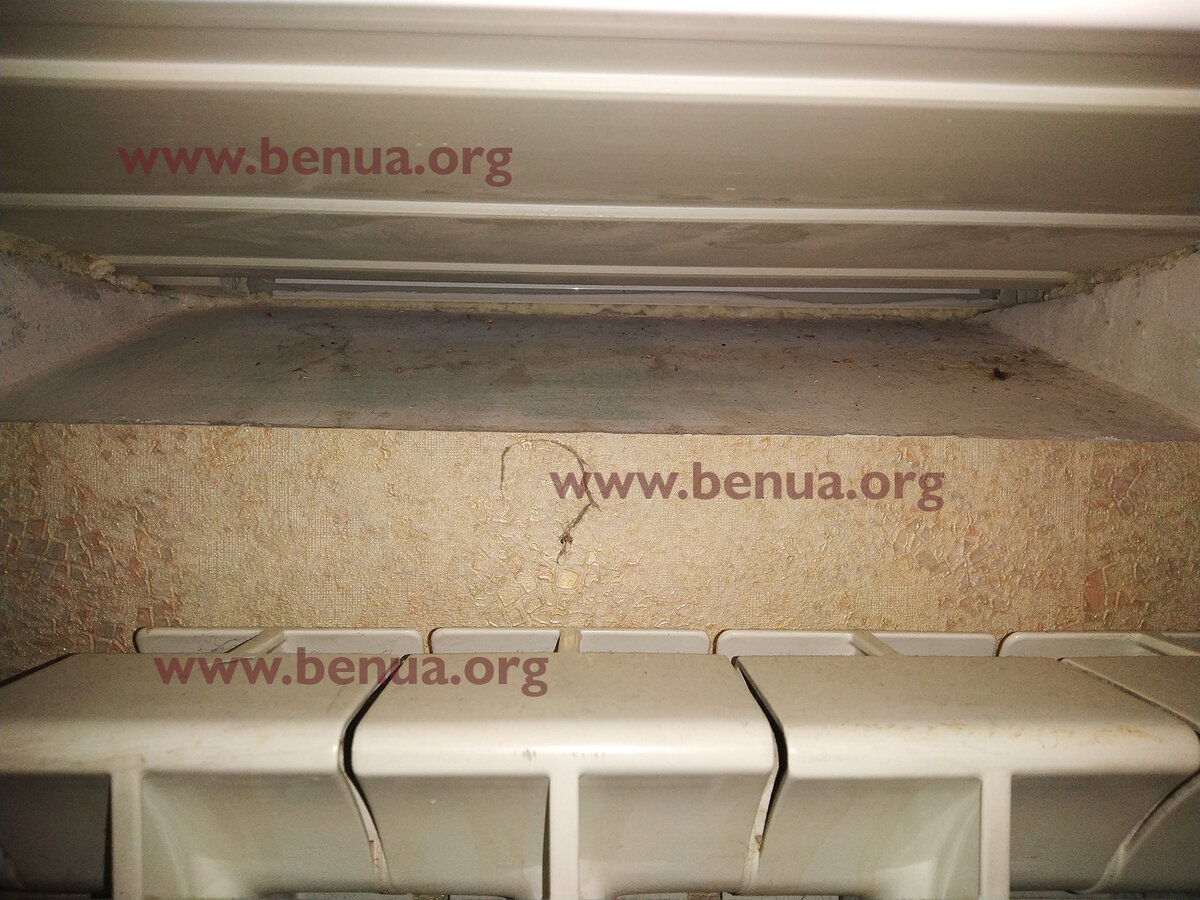 фото с сайта benua.org