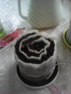 личное фото