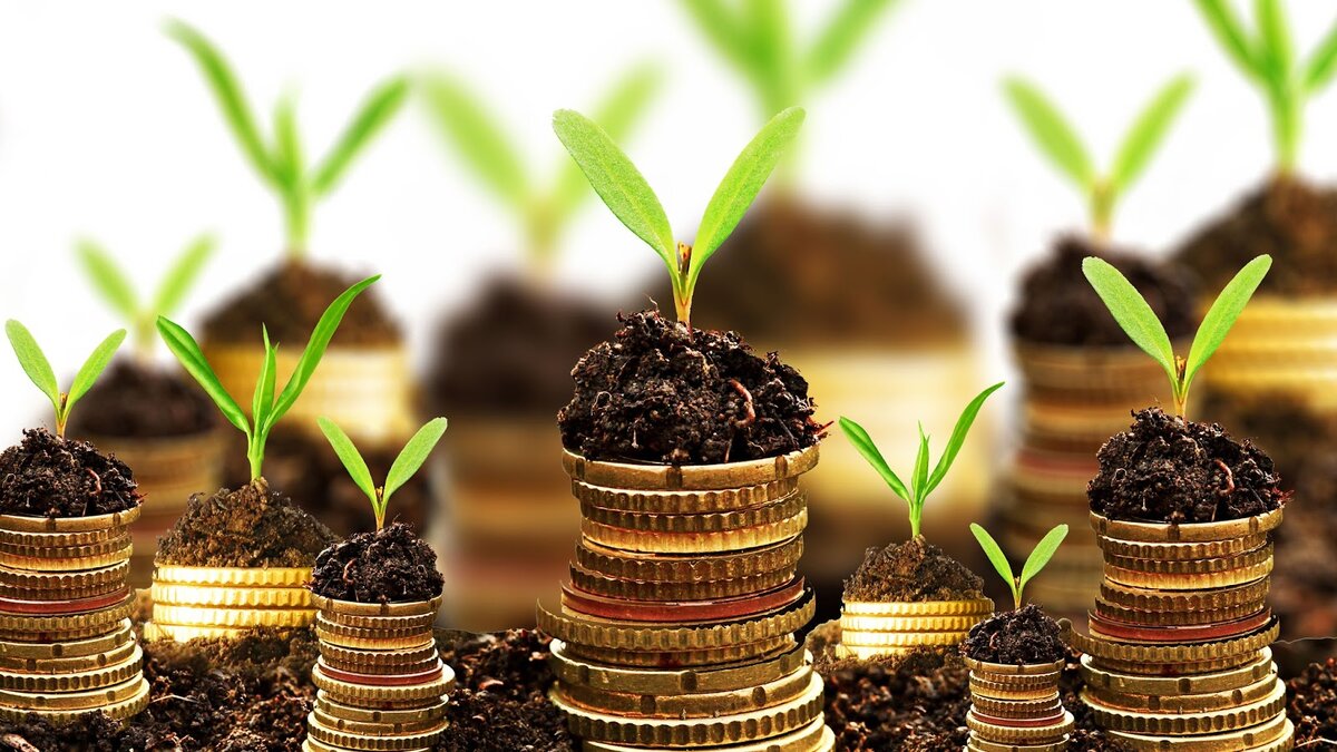 Изображение взято из сервиса Яндекс.Картинки.