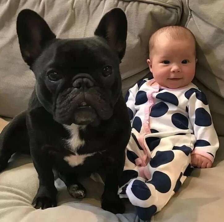 источник https://avatars.mds.yandex.net/get-pdb/1866932/3c593fa5-8e57-4bc1-af6a-abdcc0504e7c/s1200