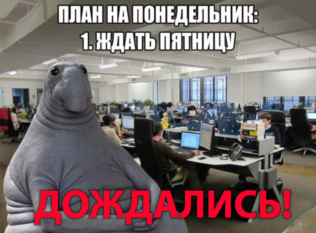 Теперь надо понять, что делать)