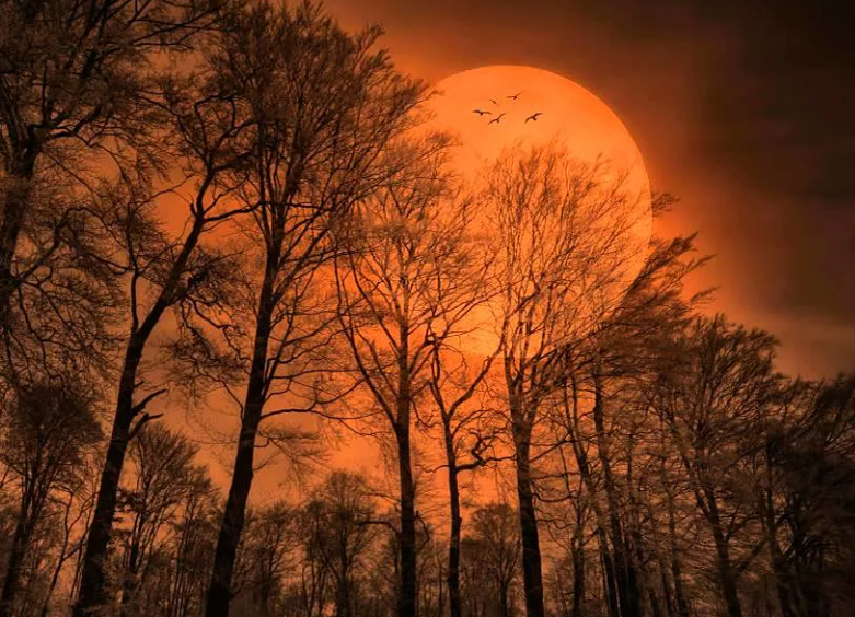 Картинка из интернет