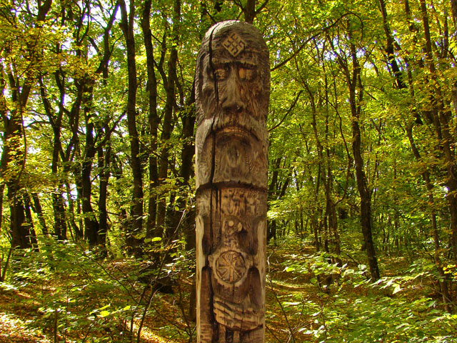 Фото взято из открытых источников