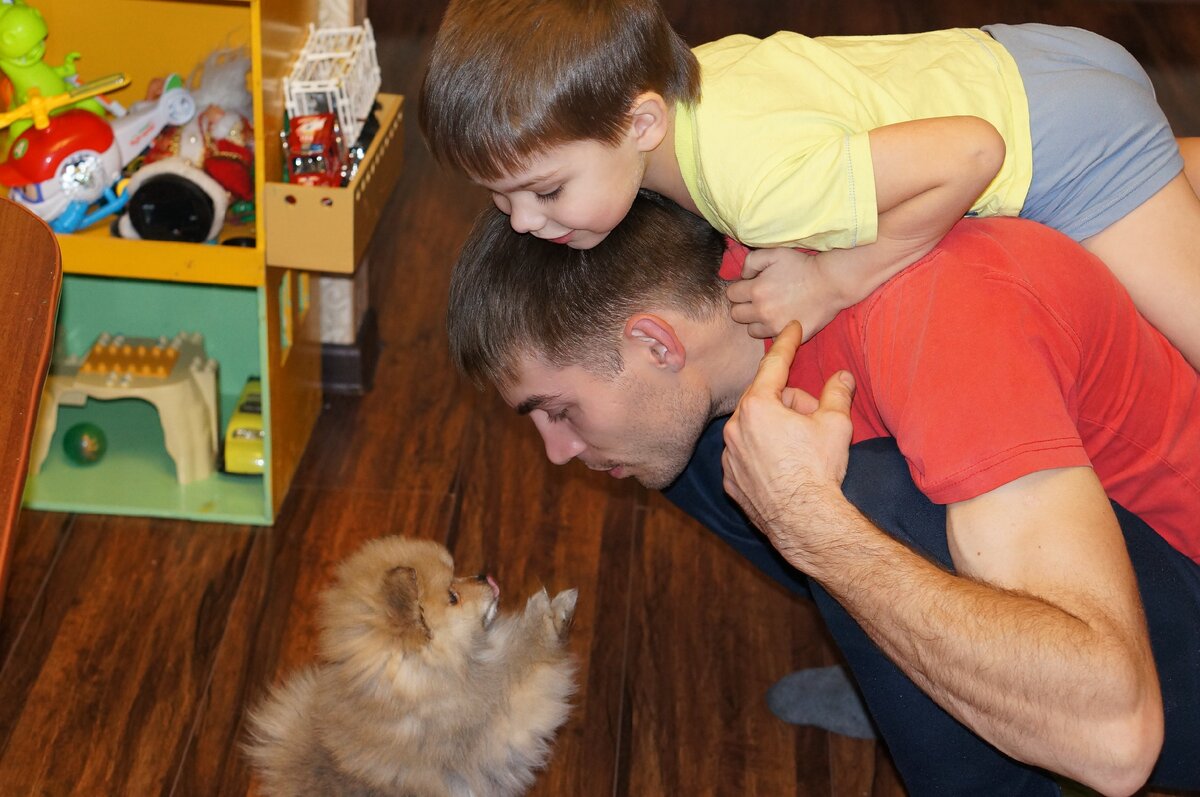 Мои мужчины знакомятся с новым жильцом 