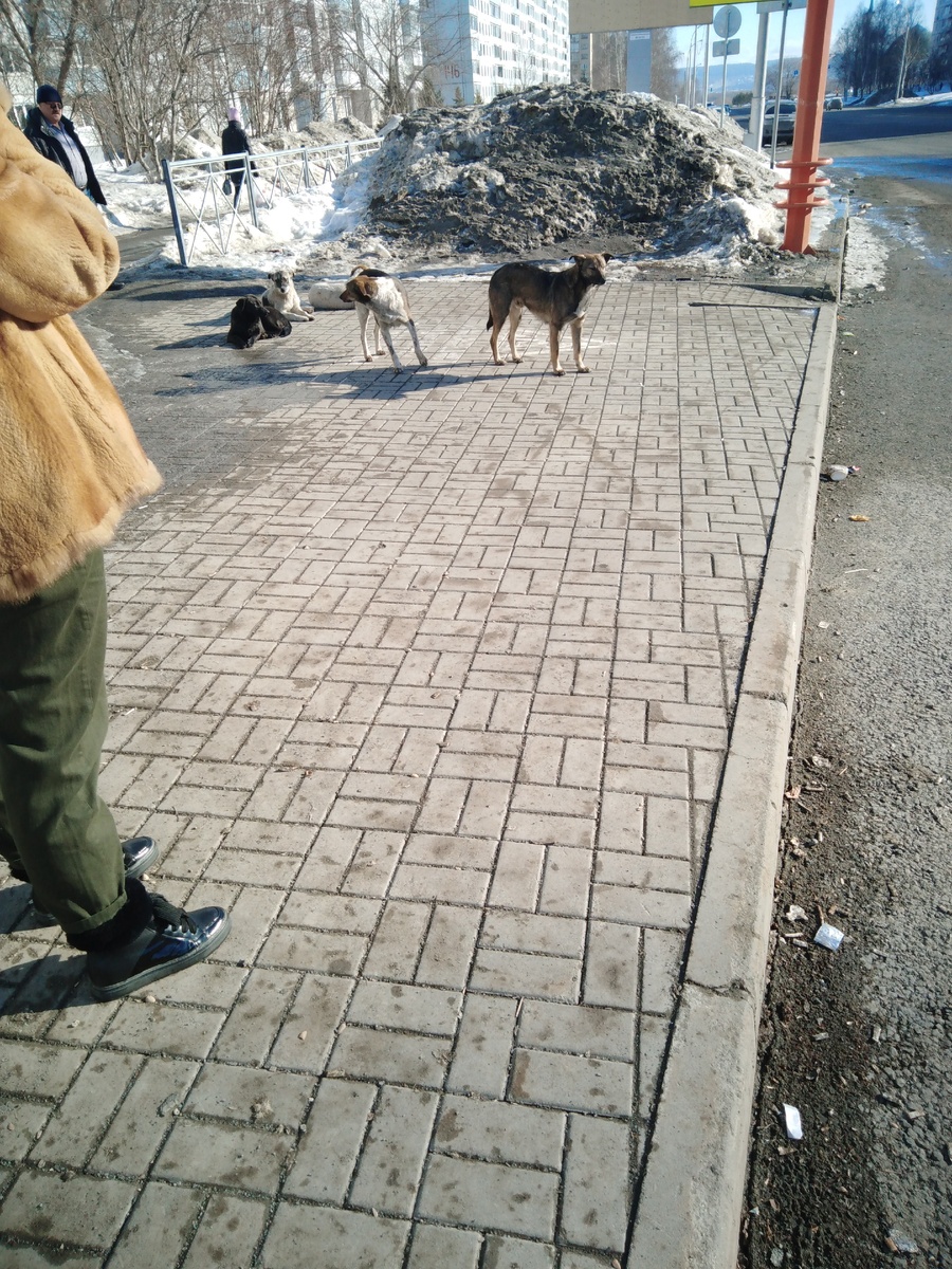 Личное фото автора