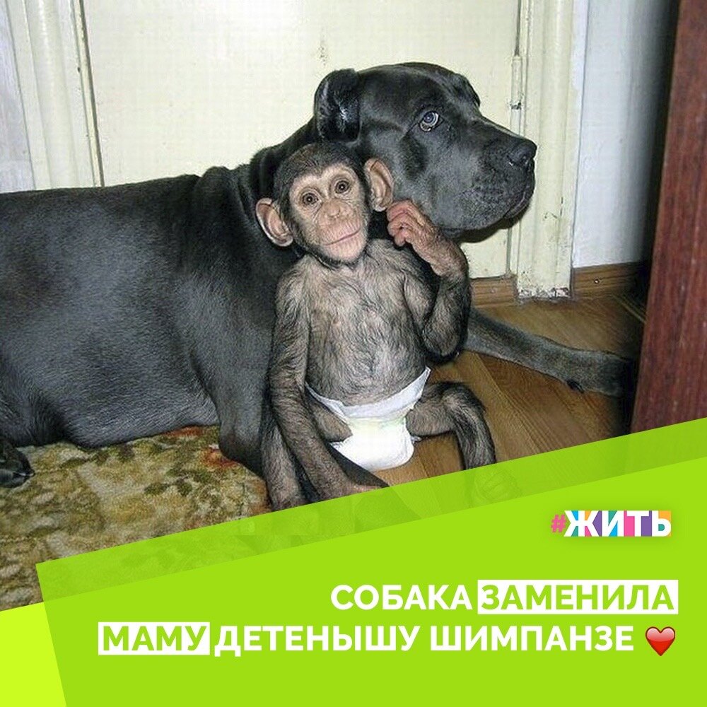 ногда, наиболее ценным подарком для человека становится то, о чем он раньше даже не задумывался, а принимал как должное - его жизнь. А кто способен сделать нам такой подарок, как «новая» жизнь? Это врачи👨‍⚕👩‍⚕

Доктора, не жалея сил и времени стремятся, чтобы каждый человек был здоров, а значит счастлив. Бессонные ночи, бесконечная забота и неземное терпение - вот, что выделяет их  среди остальных. И сегодня мы особенно остро нуждаемся в их помощи из-за коронавируса☝️

Мы хотим сказать вам "Огромнейшее спасибо!" за все труды, что вы вкладываете в жизнь каждого вашего пациента🙏

Будьте здоровы и берегите себя!🙌

#жить #проектжить #добро #врачи
