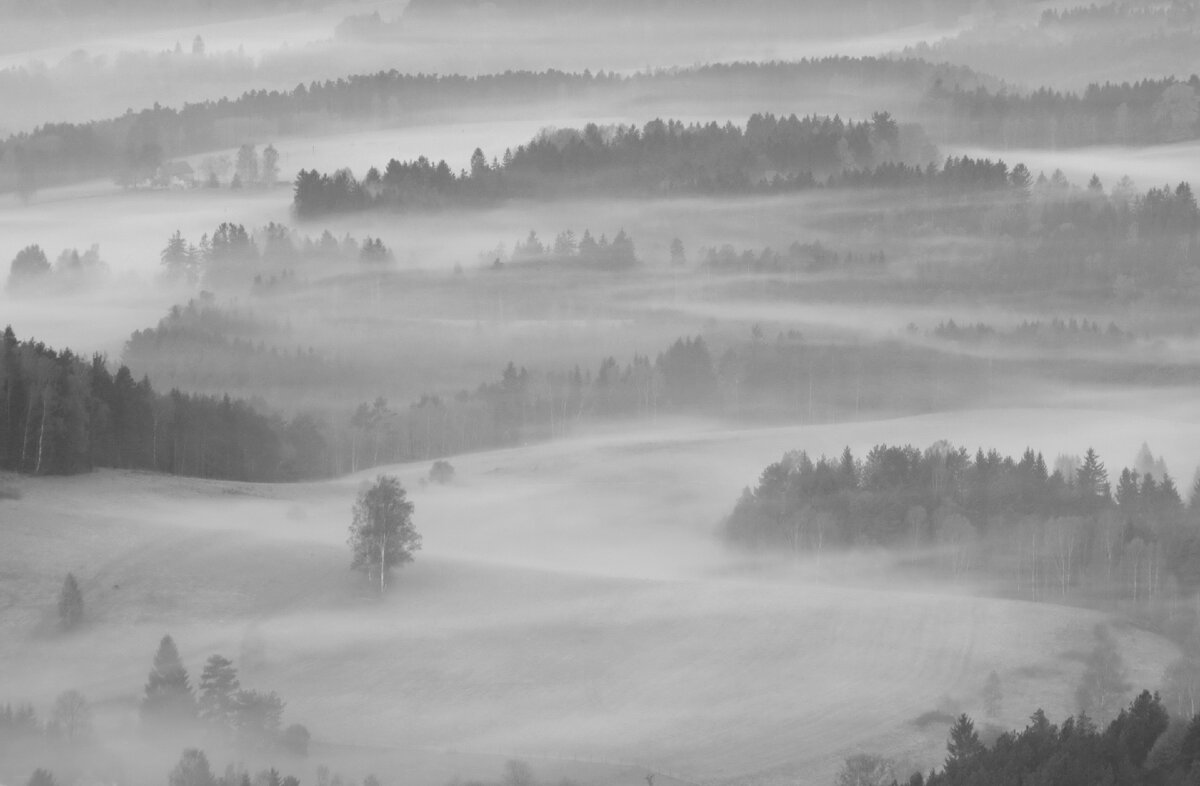 Фото Алёна Немчанинова