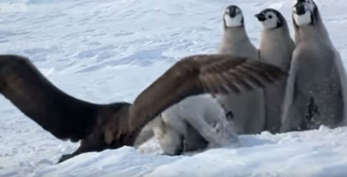 Источник: www.youtube.com