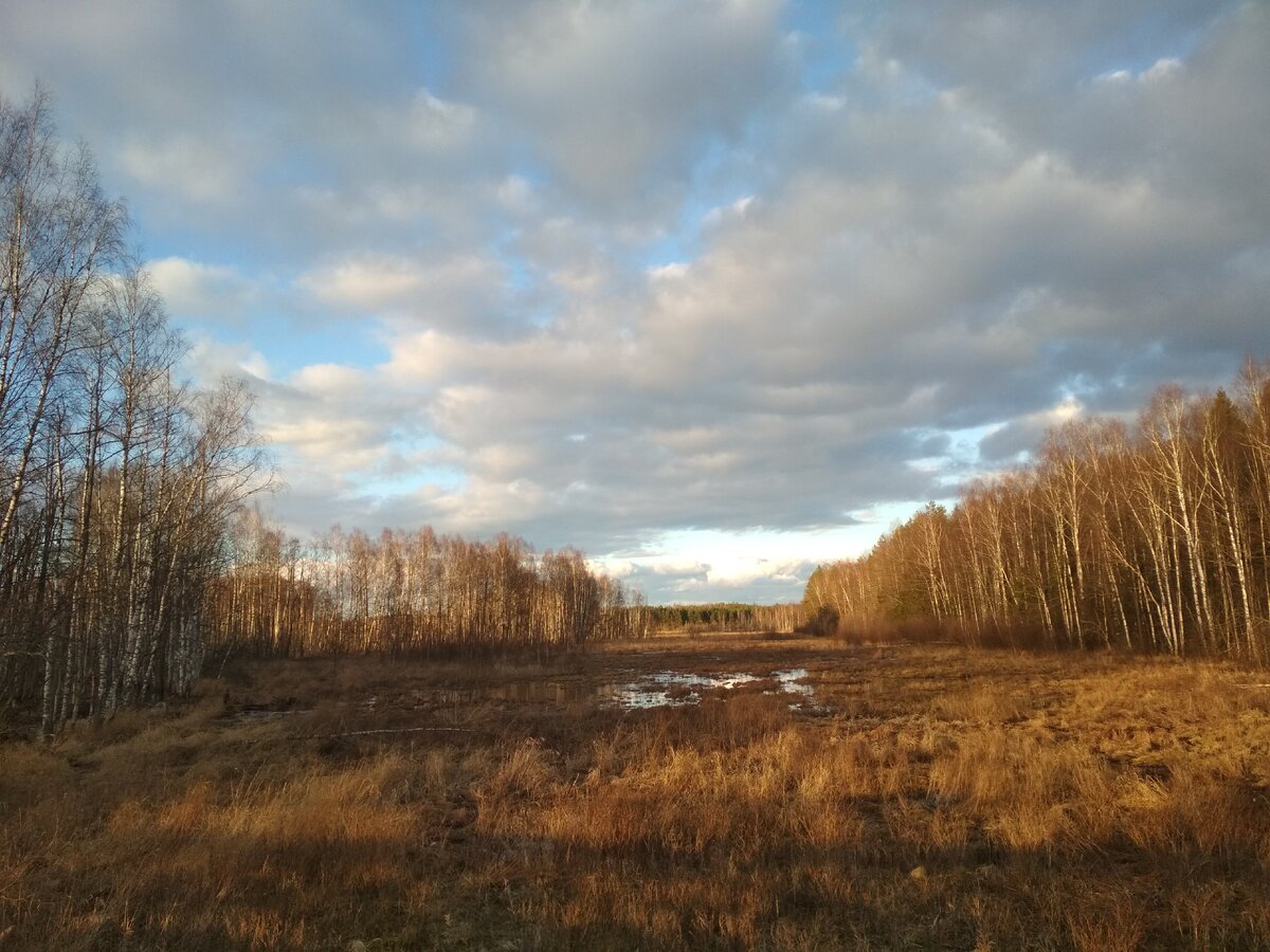 Фото из личного архива