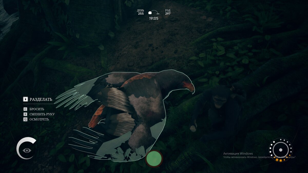 Вот такой вот орёл. Раза в три больше макаки