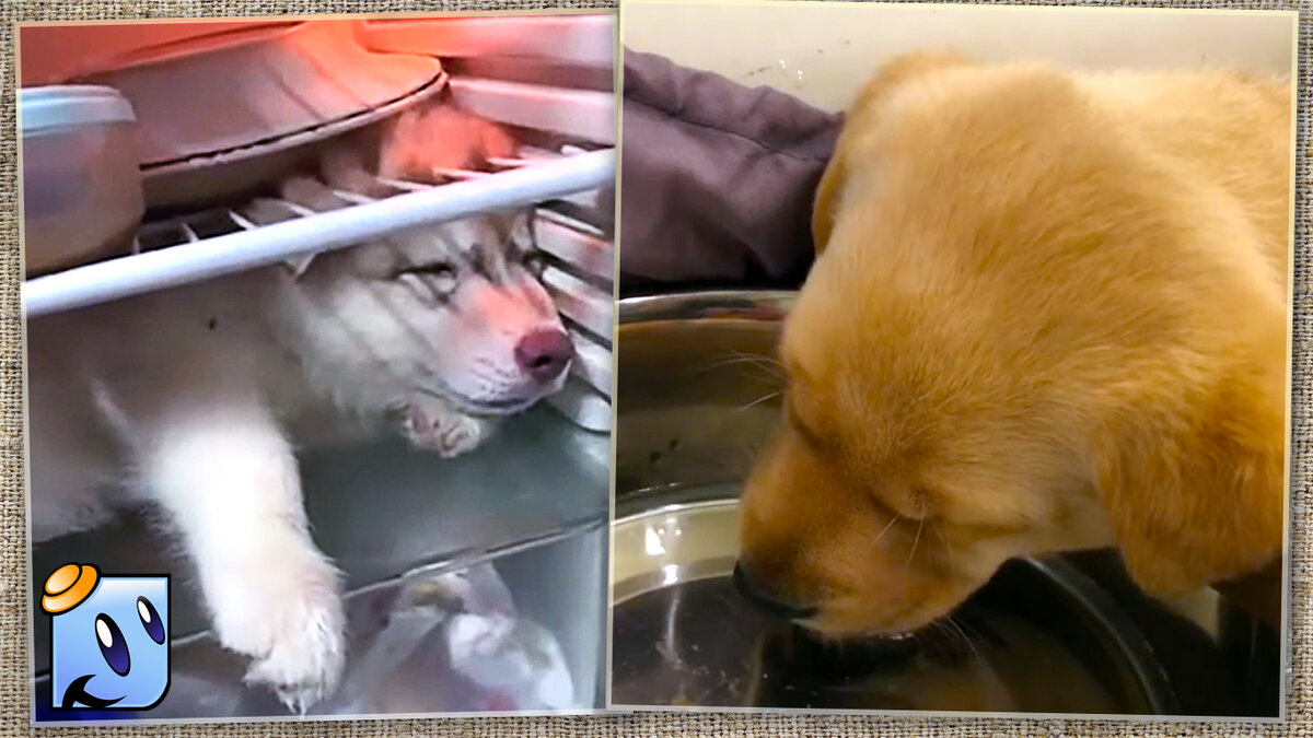 Мы играли, мы играли и теперь чуть-чуть устали.