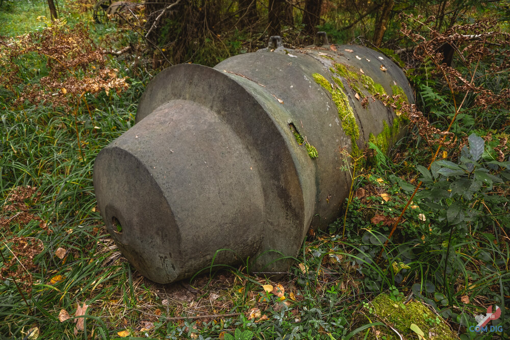 Мой дед-грибник рассказал о старых бомбах, которые нашел в лесу! Я не поверил и пошел проверять