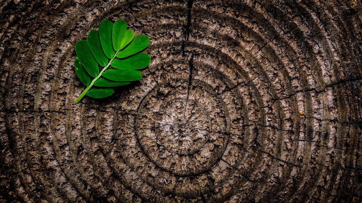 unsplash.com