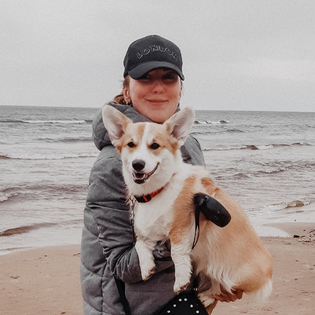 Меховая корги