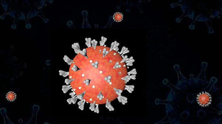 Коронавирусы (лат. Coronaviridae) — семейство вирусов, включающее на январь 2020 года 40 видов РНК-содержащих вирусов, объединённых в два подсемейства[2], которые поражают человека и животных. Название связано со строением вируса, шиповидные отростки которого напоминают солнечную корону[3]. К коронавирусам, поражающим человека, в частности, относятся: 
вирус HCoV-229E;
вирус HCoV-NL63;
вирус HCoV-OC43;
вирус HCoV-HKU1;
вирус SARS-CoV, возбудитель атипичной пневмонии, первый случай заболевания которой был зарегистрирован в 2002 году;
вирус MERS-CoV, возбудитель ближневосточного респираторного синдрома, вспышка которого произошла в 2015 году;
вирус SARS-CoV-2, ответственный за пандемию пневмонии нового типа 2020 года.