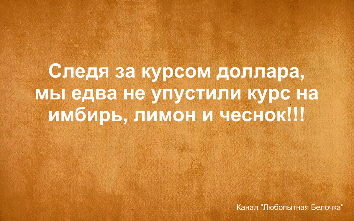 Товарищи! Спокойствие, только спокойствие! Юморная подборка | Любопытная  Белочка | Дзен