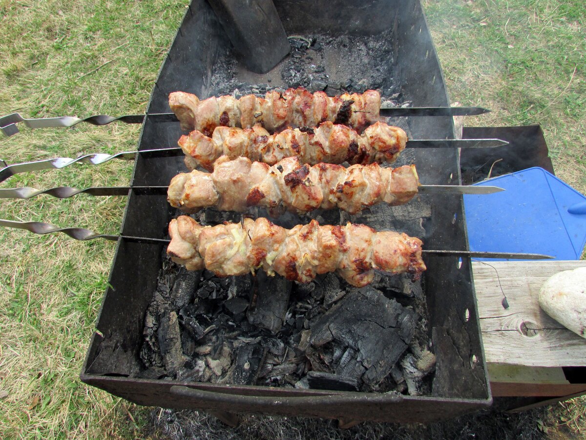Шашлык. Фото Самогон Саныча