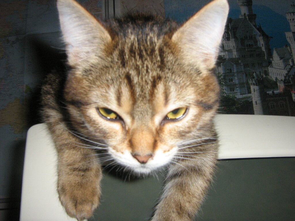 Наша Катя)))