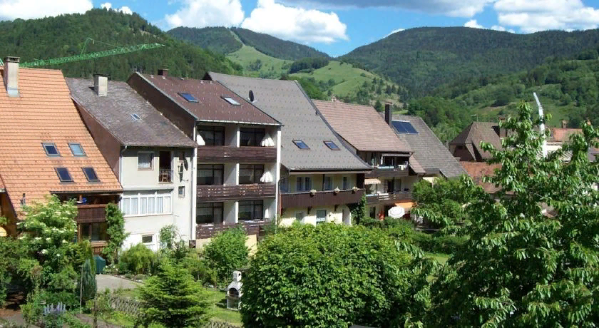 Маленький и тихий немецкий городок Шёнау-им-Шварцвальд с населением чуть более 2000 человек