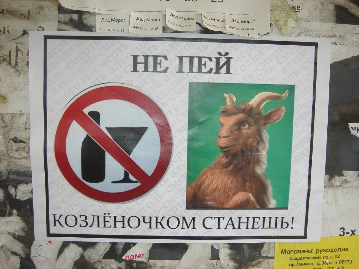 Личное фото.