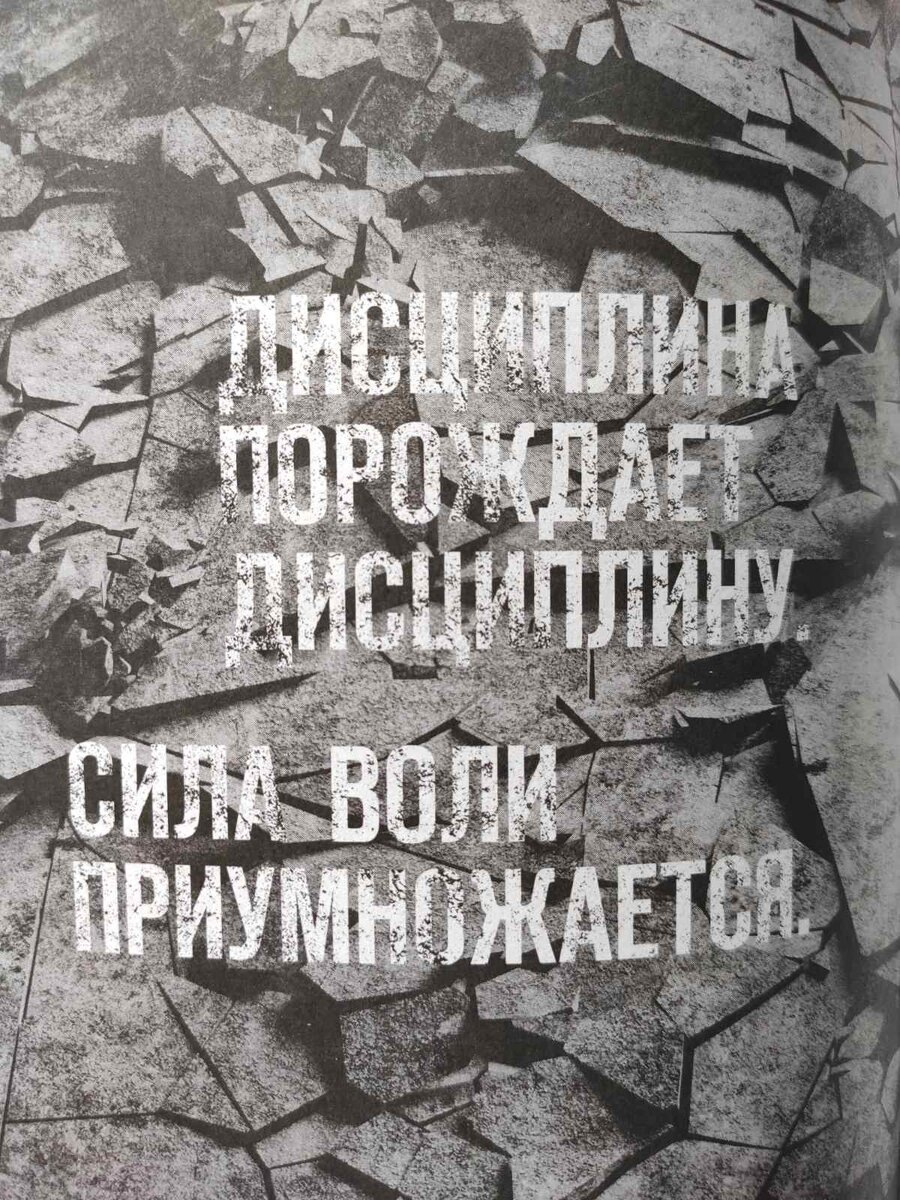 Джоко Виллинк