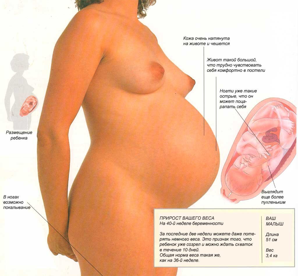 https://baby103.com/40-неделя-беременности-что-происходит-с/