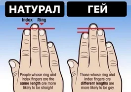 натурал гей