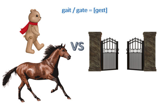 gait / gate = [ɡeɪt]