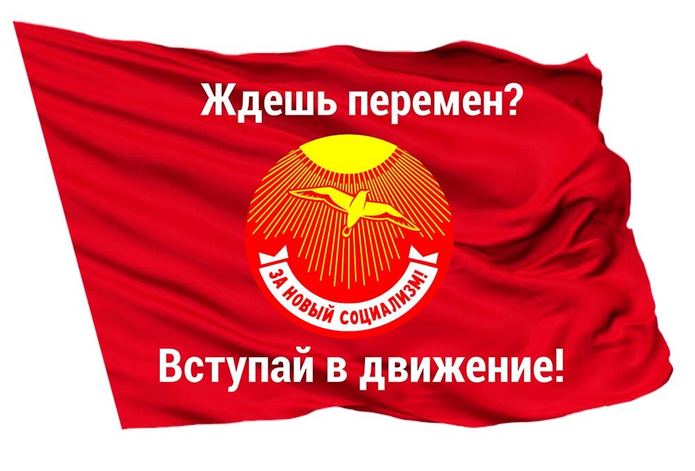 Платошкин программа новый социализм. Движение за новый социализм платошкин. За социализм платошкин. Партия за новый социализм. Как вступить в партию за новый социализм.