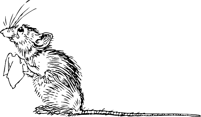 Иллюстрация: pixabay.com