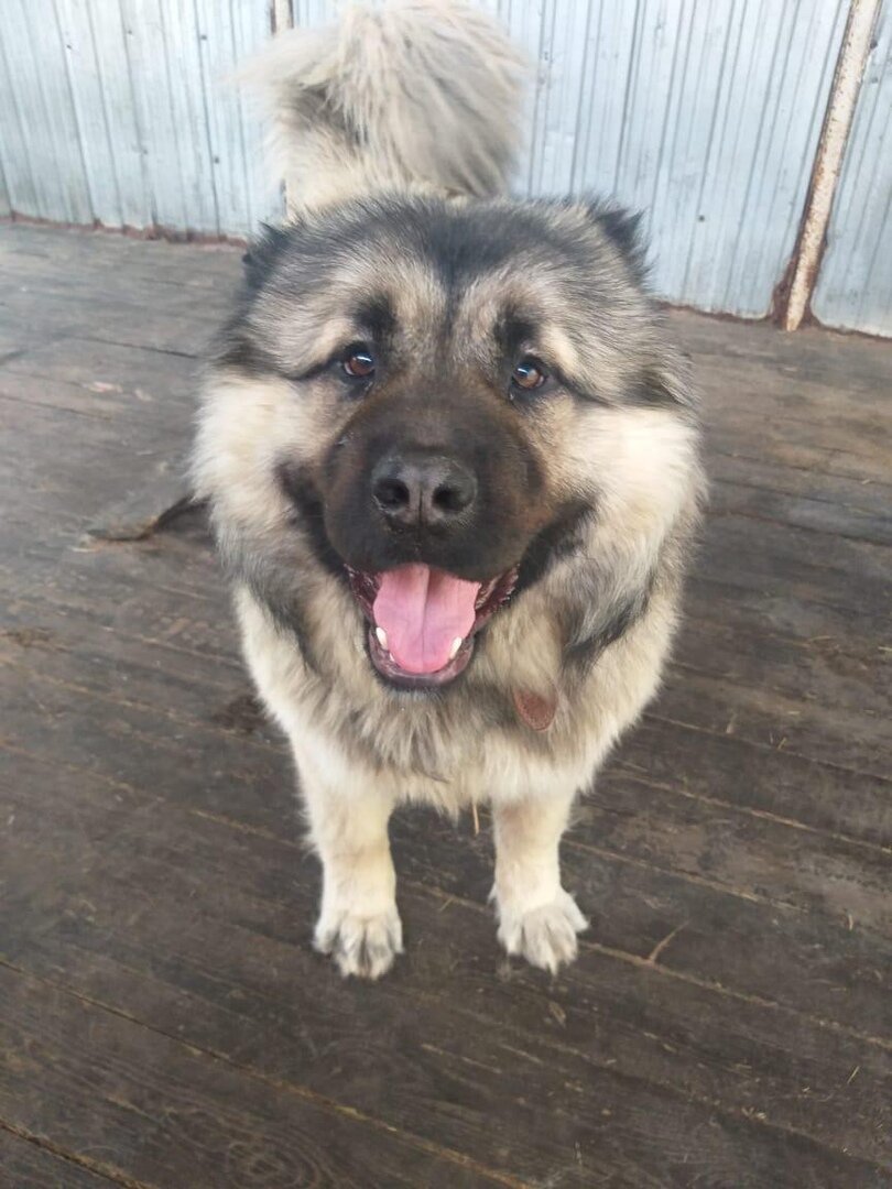 Люк Скайуокер