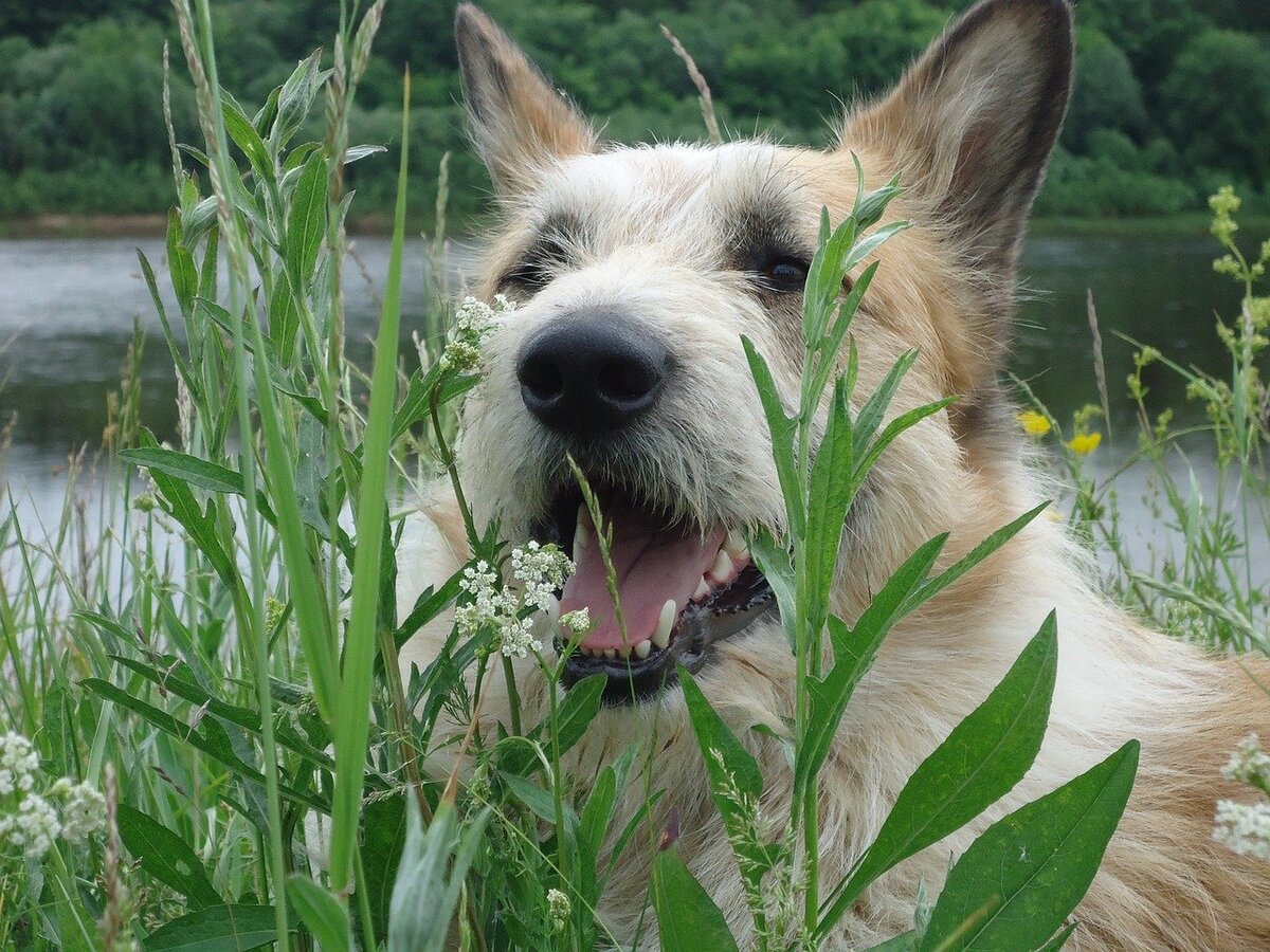 Фото gazrock с сайта Pixabay 