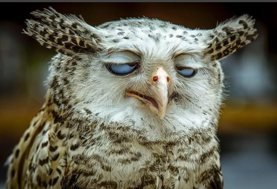 Добрую половину дня я была совсем не в кондиции...(фото с просторов интернета)