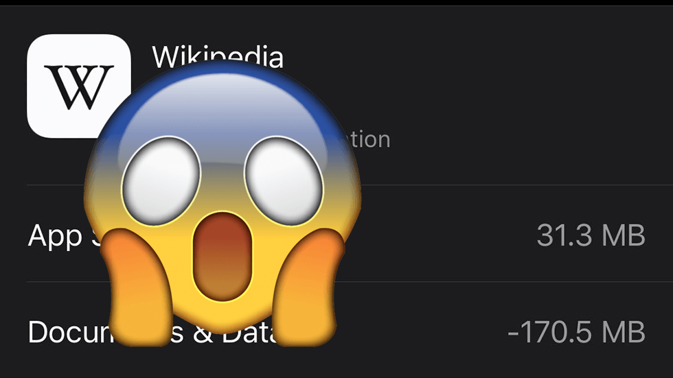 iPhone Bug