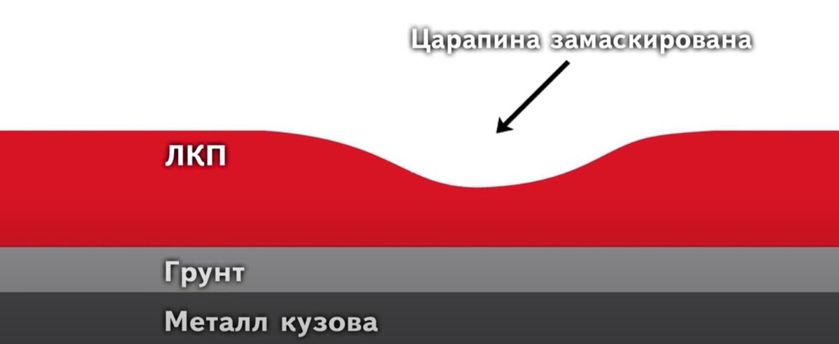 Как вывести запах кошачьей мочи