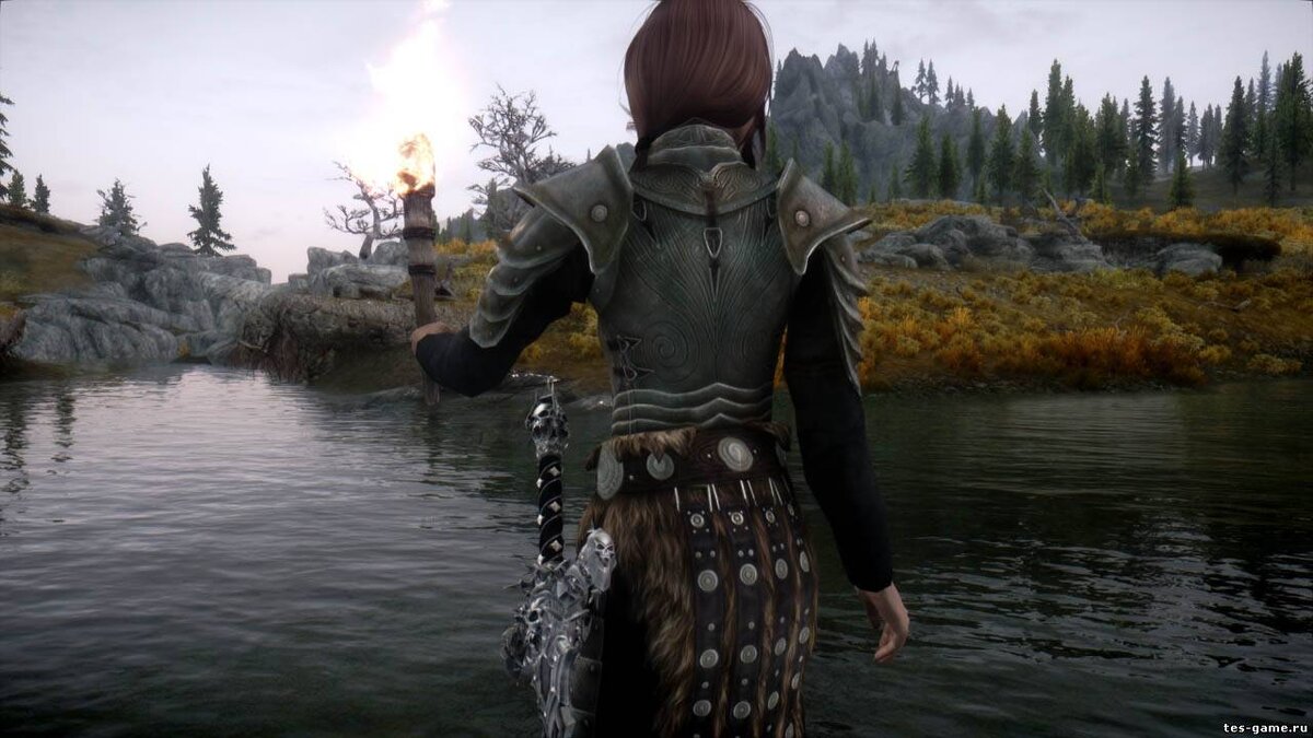 Skyrim с модом