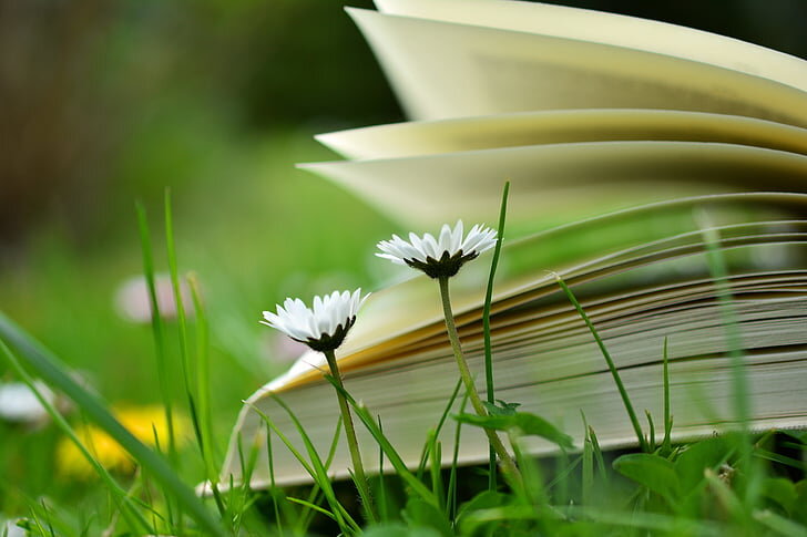 Royalty-Free photo: Selective photography of two white petaled flowers against unfold book | PickPik