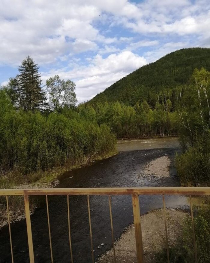 WWF в Амурской области, чистая и грязная вода в реке 